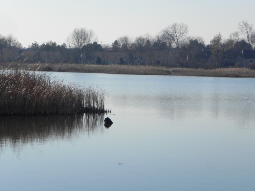 OTTER LAKE WATERFORD TOWNSHIP MICH